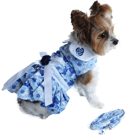 Blue Rose Harness Dress with Matching Leash